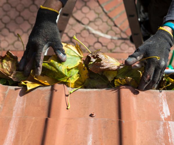 gutter cleaning in Parkhurst 